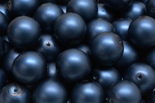 Voskované perly saténové, tmavě modrá, 12 mm, 6 ks 