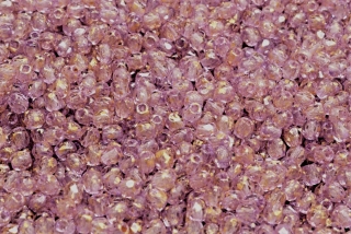 Broušené korálky, čiré, růžové, měděný nástřik, 3 mm, 60 ks