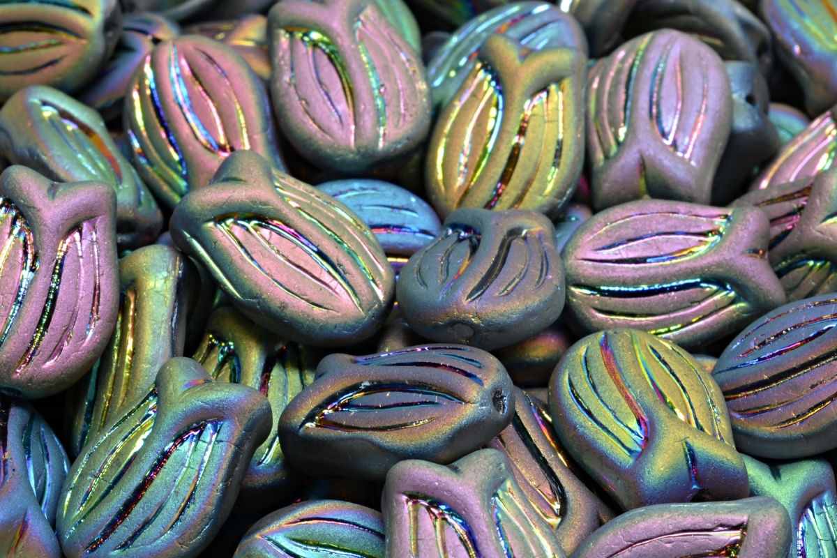 Tulipán, květ, duhový, mat, 16 x 11 mm, 4 ks