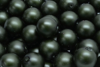 Voskované perly saténové, tmavě zelená, 12 mm, 6 ks 