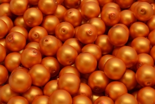 Voskované perly saténové, oranžová, 10 mm, 10 ks 