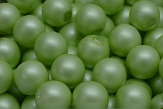 Voskované perly saténové, světle zelená, 8 mm, 14 ks 
