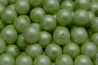 Voskované perly saténové, světle zelená, 6 mm, 20 ks 
