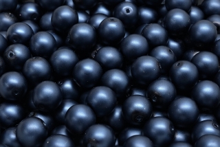 Voskované perly saténové, tmavě modrá, 6 mm, 20 ks 