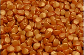 Pohanka, oranžová, vosk, 5 x 5 mm, 10 g
